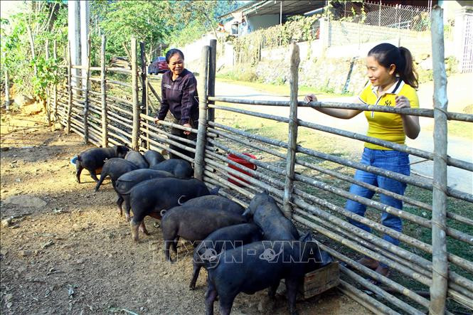 Nghệ An: Từ 'thánh địa ma túy', Xốp Mạt đã trở thành Làng văn hóa