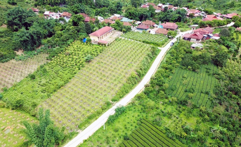 Thuận Châu đẩy mạnh Chương trình mục tiêu quốc gia giảm nghèo bền vững