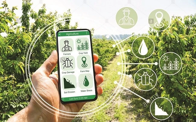 Bắc Giang xây dựng nông thôn mới gắn với chuyển đổi số
