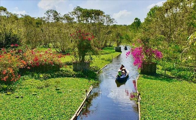 Khách du lịch đi xuồng tham quan Rừng tràm Trà Sư (huyện Tịnh Biên, An Giang).. Ảnh: Thanh Sang- TTXVN