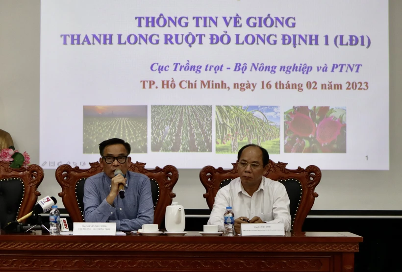 Chiều 16/2/2023, tại TP Hồ Chí Minh, Cục Trồng trọt (Bộ Nông nghiệp và Phát triển nông thôn) tổ chức họp trao đổi thông tin liên quan đến vụ việc vướng mắc trong xác nhận giống thanh long ruột đỏ Long Định (LD1) xuất khẩu đi Nhật Bản do Công ty TNHH Hoàng