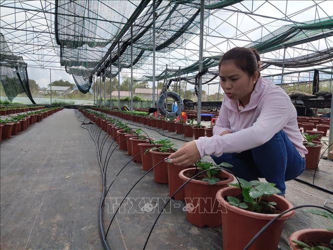 Cao Bằng hướng tới sản xuất nông nghiệp công nghệ cao