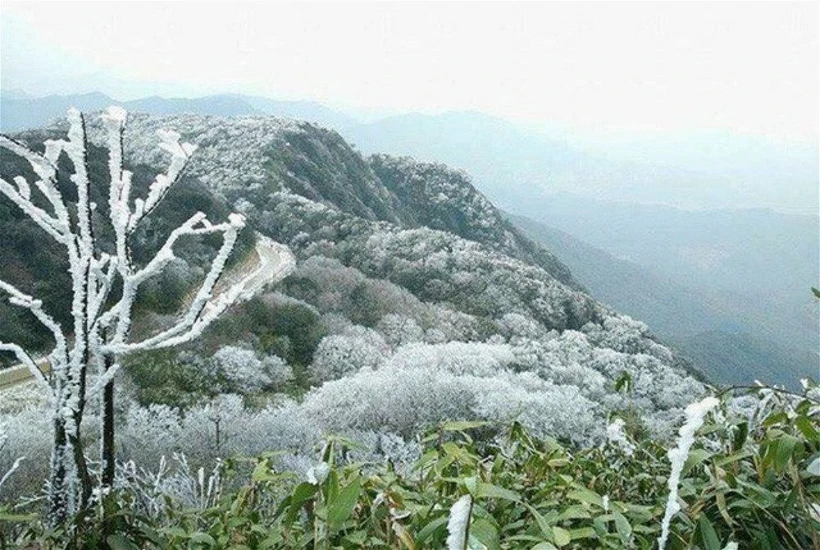 Hòa Bình chủ động ứng phó với rét đậm, rét hại