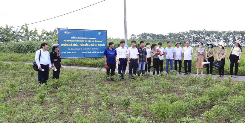 Phát triển sản xuất nông nghiệp theo hướng kinh tế tuần hoàn ở Hà Nam