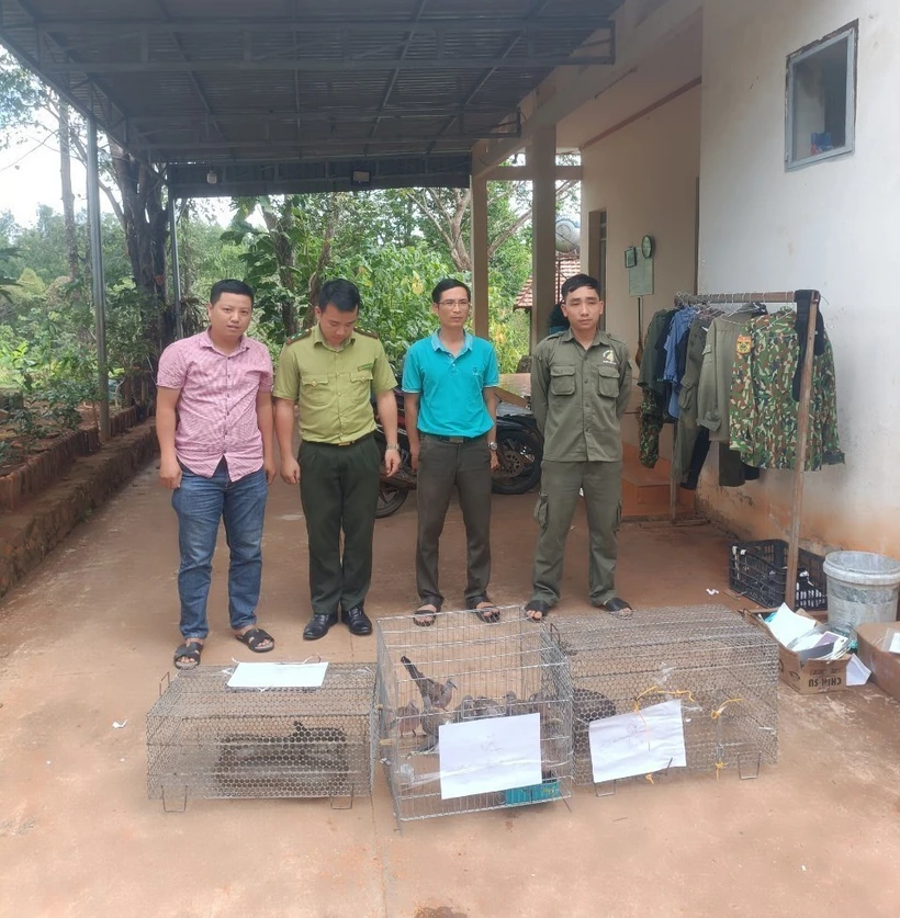 Bàn giao nhiều cá thể động vật hoang dã cho Vườn Quốc gia Bù Gia Mập