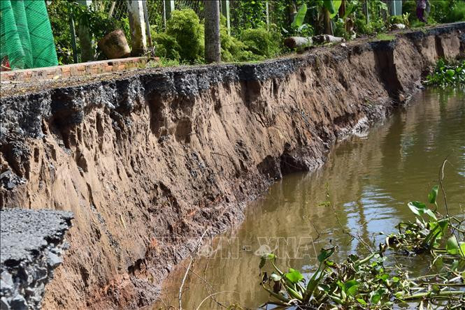 Vụ sạt lở ngày 14/6/2020 dài khoảng 50m trên tuyến đường Nha Mân - Phú Long, thuộc xã Tân Nhuận Đông, huyện Châu Thành, Đồng Tháp. Ảnh: Chương Đài - TTXVN