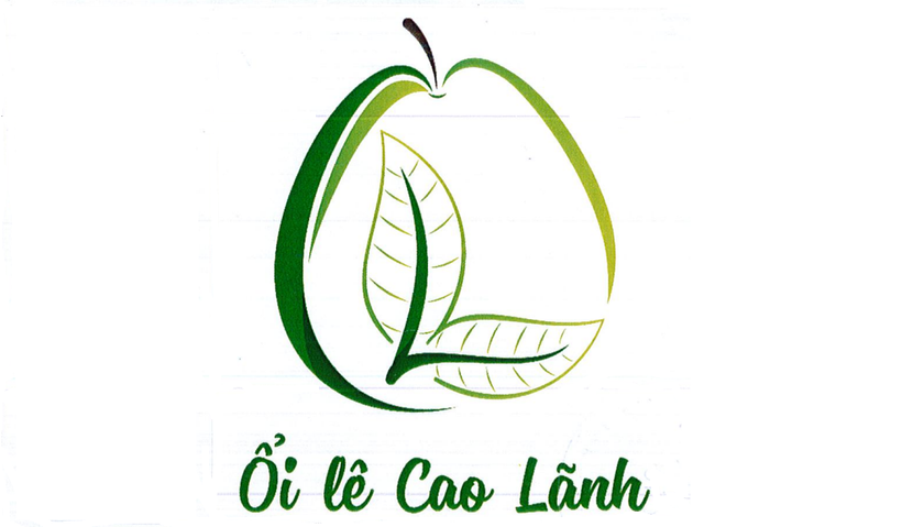 Ổi lê Cao Lãnh được cấp chứng nhận nhãn hiệu