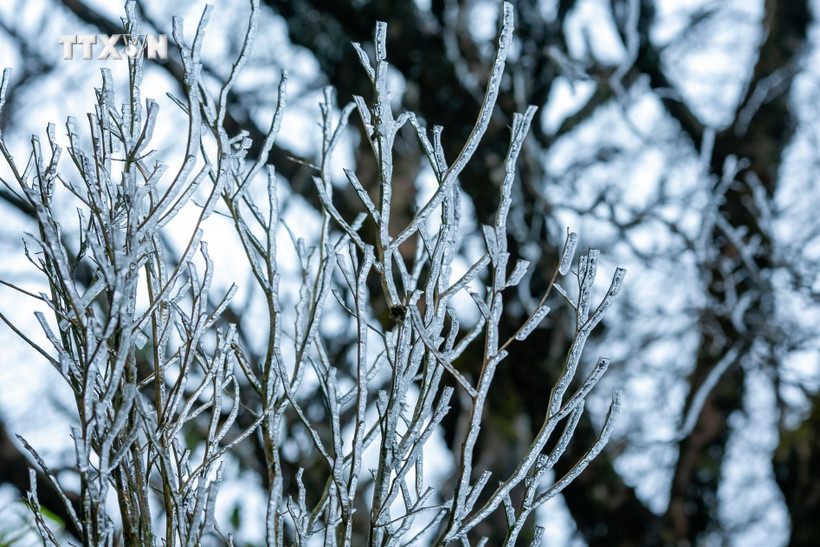 Vùng núi phía Đông Bắc Bộ có thể xảy ra băng giá, mưa tuyết