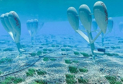 Những giải pháp công nghệ lấy cảm hứng từ thiên nhiên nổi bật trong năm 2020