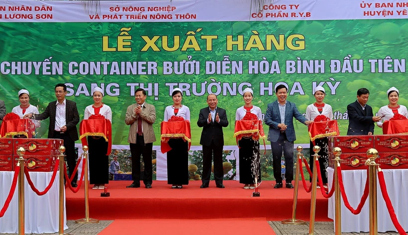 Hoà Bình xuất khẩu 48 tấn bưởi Diễn đầu tiên sang thị trường Hoa Kỳ