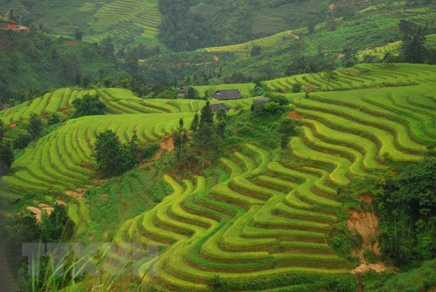 Phê duyệt danh sách xã khu vực I, II, III vùng đồng bào dân tộc thiểu số và miền núi