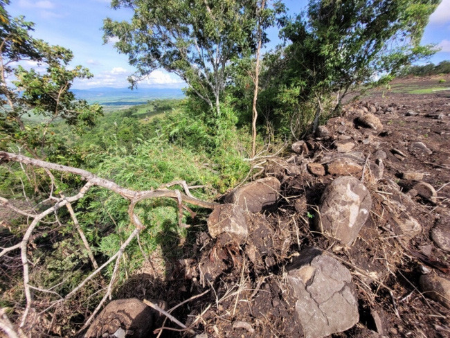 Khởi tố vụ án “Hủy hoại rừng" tại huyện Chư Sê