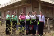 Xuân no ấm ở khu tái định cư bên lòng hồ Hòa Bình