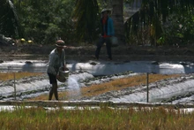 Bảo đảm nước ngọt phục vụ sản xuất nông nghiệp trong mùa khô