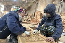 Đổi mới toàn diện, nâng cao chất lượng đào tạo nghề cho lao động nông thôn