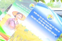 Bức tranh nông nghiệp, nông thôn sau sáp nhập