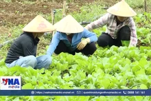 Phú Thọ hướng tới nền nông nghiệp thân thiện với môi trường