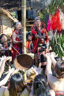 Bảo tồn, gìn giữ giá trị Lễ mừng lúa mới của đồng bào Giẻ Triêng