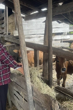 Hỗ trợ sinh kế giúp người dân thoát nghèo bền vững ​