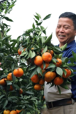 Từ cơ sở vững vàng, đất nước tự tin bước vào kỷ nguyên mới