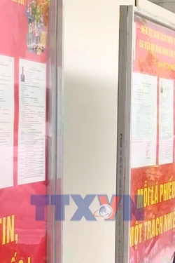 Cử tri trẻ Đà Nẵng ứng dụng công nghệ số trong bầu cử