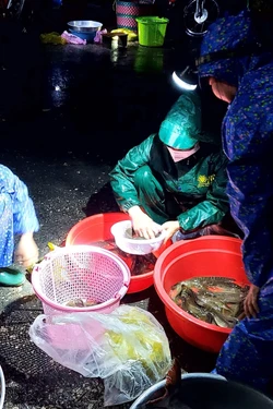 Khám phá 'chợ ma' Tha La