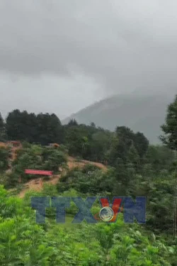 Vượt nắng, thắng mưa xây nhà cho bà con vùng sạt lở