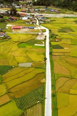 Mùa vàng ở Ngọc Chiến, Sơn La