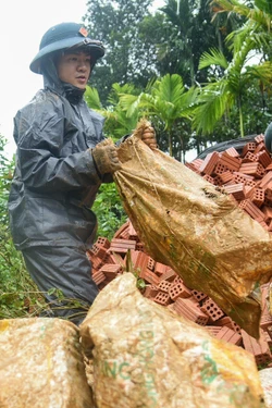 Chiến dịch Quang Trung: Đà Nẵng hoàn thành sửa chữa 100% nhà bị hư hỏng do thiên tai