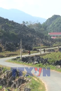 Người Mông vùng cao Điện Biên vươn lên từ nội lực