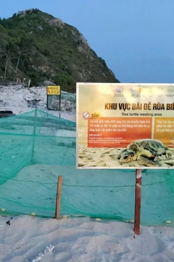 Bảo tồn, hướng tới phát triển du lịch sinh thái biển