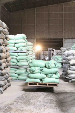 Đắk Lắk phân bổ gạo hỗ trợ nhân dân đón Tết Nguyên đán