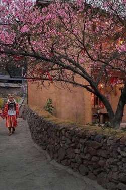 Lũng Cú - điểm hẹn muôn sắc hoa nơi địa đầu Tổ quốc