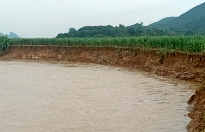 Địa bàn thôn Chu, xã Kiên Thọ, tỉnh Thanh Hóa nơi sông Âm chảy qua bị sạt lở. thanh-hoa2-0408.jpg