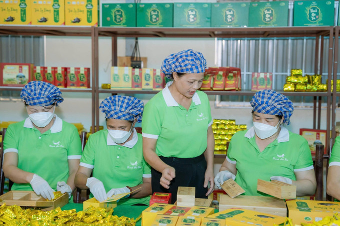 Nghệ nhân Nguyễn Thị Hải cùng các xã viên tại xưởng sản xuất chè của Hợp tác xã chè La Bằng. Ảnh: TTXVN che3-021025.jpg