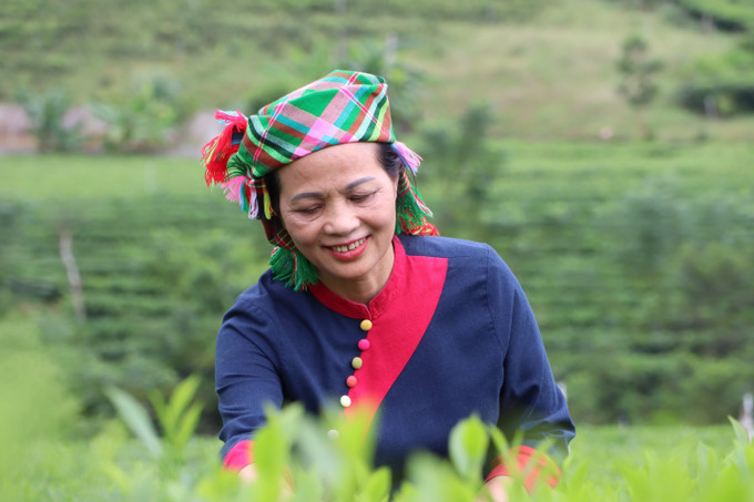 Nghệ nhân Nguyễn Thị Hải, Chủ tịch HĐQT Hợp tác xã chè La Bằng, xã La Bằng, tỉnh Thái Nguyên, vinh dự nhận Giải thưởng Phụ nữ Việt Nam năm 2025. Ảnh: TTXVN che2-021025.jpg