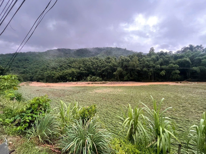 Hơn 3 ha lúa và hoa màu tại xã Sơn Điện (Thanh Hóa) bị thiệt hại và cuốn trôi hoàn toàn. Ảnh: Khiếu Tư/TTXVN xa-mang-1110.jpg