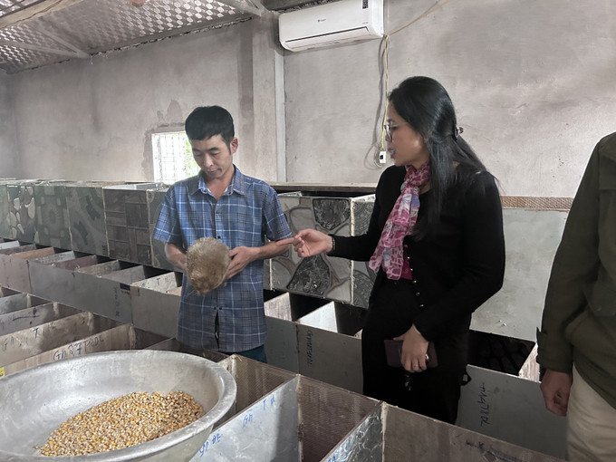 Chuồng nuôi của gia đình anh Lộc Văn Trung, bản Yên Hòa, xã Môn Sơn.