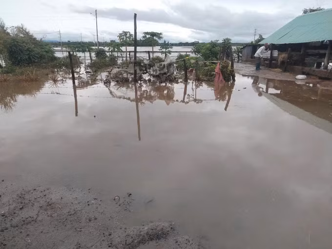 Thôn PleiDu, xã Chư Răng, huyện Ia Pa, tỉnh Gia Lai bị ngập cục bộ do mưa lớn từ chiều 10/6/2025. Ảnh: TTXVN phát Thôn PleiDu, xã Chư Răng, huyện Ia Pa, tỉnh Gia Lai bị ngập cục bộ do mưa lớn từ chiều 10/6/2025. Ảnh: TTXVN phát