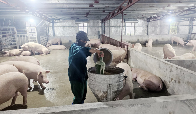 Mô hình Trang trại chăn nuôi công nghệ cao của ông Nguyễn Văn Toàn, xã Hy Cương, tỉnh Phú Thọ đã tạo việc làm thường xuyên cho 20 - 25 lao động địa phương, với mức thu nhập từ 8 - 10 triệu đồng/người/tháng. Mô hình Trang trại chăn nuôi công nghệ cao của ông Nguyễn Văn Toàn, xã Hy Cương, tỉnh Phú Thọ đã tạo việc làm thường xuyên cho 20 - 25 lao động địa phương, với mức thu nhập từ 8 - 10 triệu đồng/người/tháng.