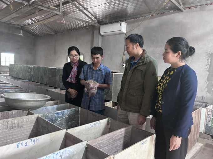 Từ sự hỗ trợ 70 triệu đồng xây dựng mô hình đa dạng hóa sinh kế, tập huấn kỹ thuật của xã trong chăn nuôi, anh Lộc Văn Trung đã hỗ trợ cho gần 20 hộ gia đình cùng nuôi dúi trong bản.