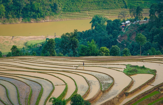 Vẻ đẹp của những thửa ruộng bậc thang mùa nước đổ tại xã Mồ Dề, huyện Mù Cang Chải, Yên Bái. mu-cang-chai11-2506.jpg
