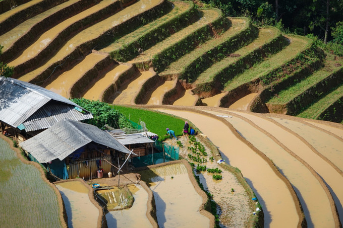 Những thửa ruộng bậc thang mùa nước đổ mang vẻ đẹp đặc trưng của những “dải lụa” vắt ngang lưng trời. mu-cang-chai1-2506.jpg