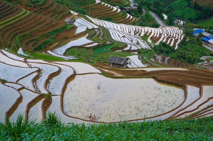 Mùa nước đổ khiến những thửa ruộng bậc thang Mù Cang Chải hiện lên đẹp tựa bức tranh. mu-cang-chai8-2506.jpg