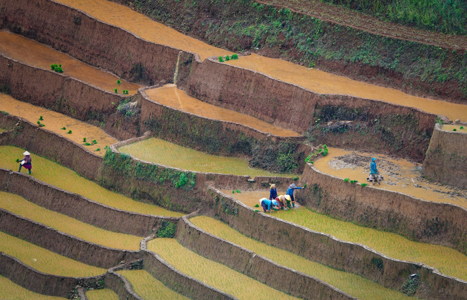 Thời điểm này, người dân vùng cao Mù Cang Chải bước vào vụ lúa mới. mu-cang-chai2-2506.jpg