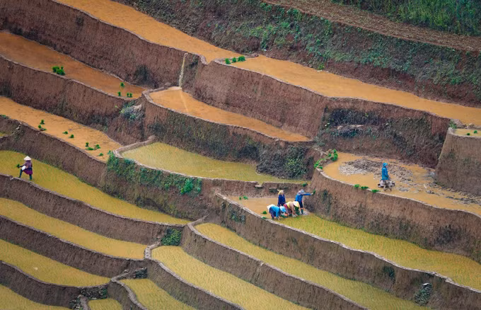 mu-cang-chai2-2506.jpg