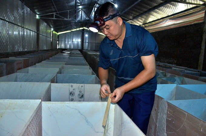 Anh Đinh Tiến Hoàng, Hợp tác xã Nông nghiệp và Dịch vụ tổng hợp Hoàng Phát - HB, chuẩn bị thức ăn cho dúi là các thanh tre tước nhỏ. dui2-0910.jpg