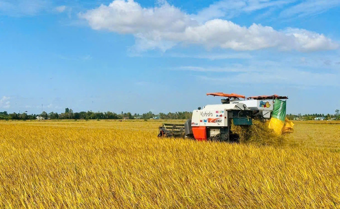 Thu hoạch lúa bằng máy gặt đập liên hợp trên đồng ruộng huyện Phước Long, tỉnh Bạc Liêu. Ảnh: TTXVN phát bl1-1706.jpg