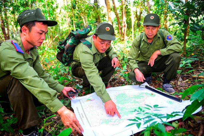 Chính sách chi trả dịch vụ môi trường rừng tại tỉnh Kon Tum đã tạo ra mối liên kết giữa trách nhiệm và quyền lợi khi giữ rừng tốt người dân sẽ được hưởng lợi nhiều hơn. Ảnh: Khoa Chương/TTXVN kon-tum3-1706.jpg