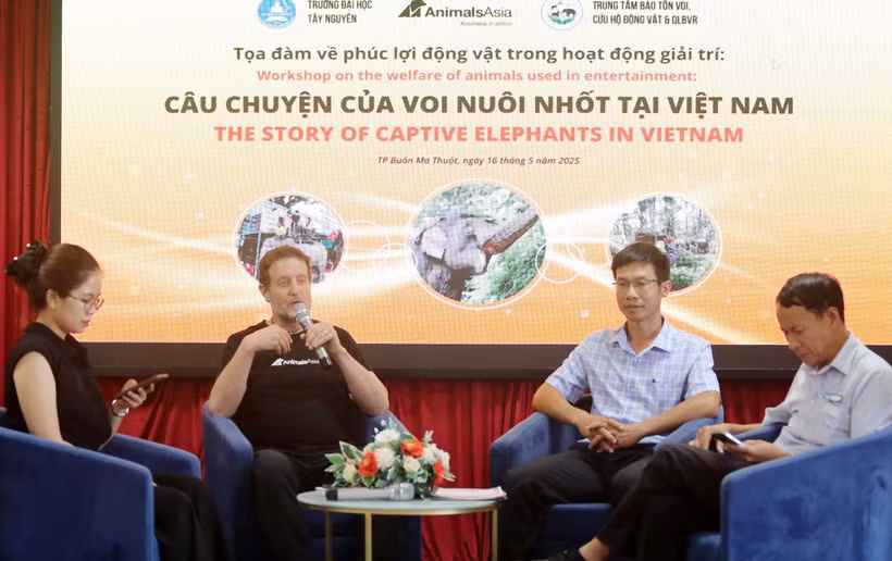 Thúc đẩy các giải pháp bền vững trong công tác bảo tồn voi